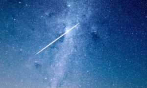 GameProEdge ScookieGear: Elevate Your Gaming Experience with Next-Level Performance