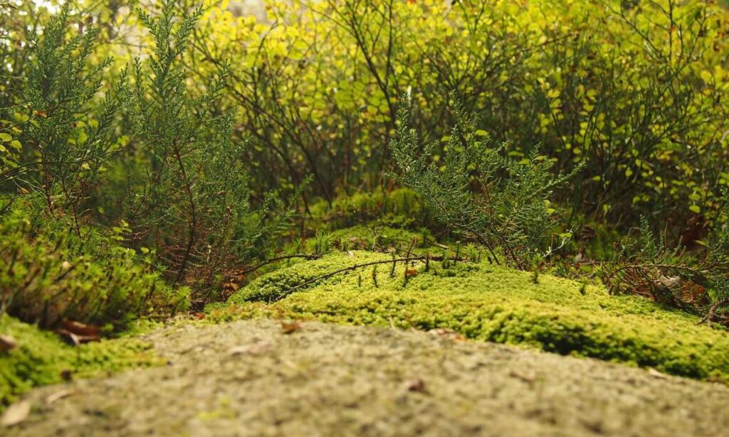 befitgametek gaming tech by befitnatic