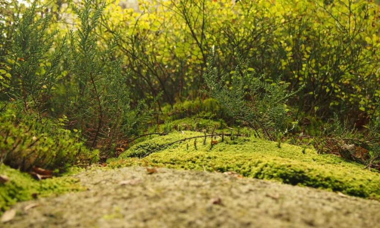 befitgametek gaming tech by befitnatic