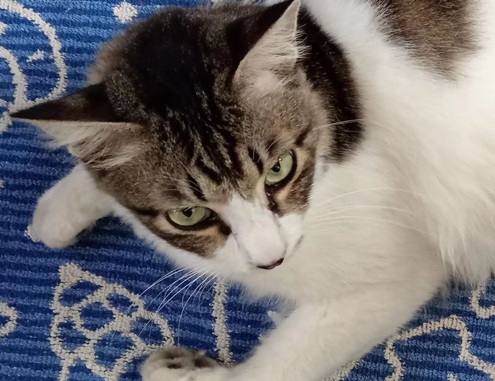 befitgametek gaming updates from befitnatic