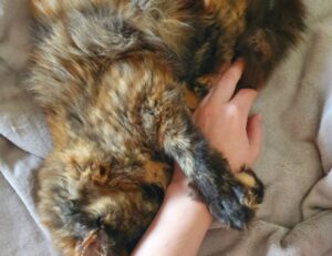 best gaming updates feedgamebuzz