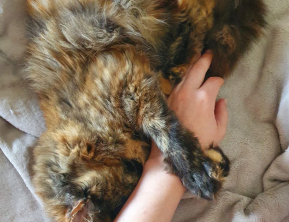 best gaming updates feedgamebuzz