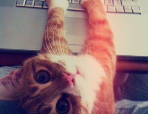 best guidelines for online gaming feedgamebuzz