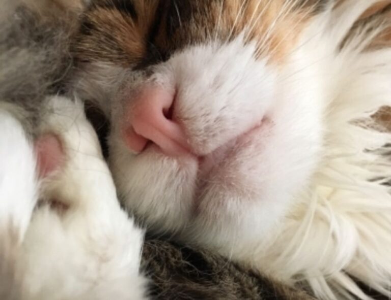 best hacks for gaming by feedgamebuzz