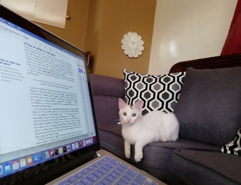 bfncplayer gamers guide by befitnatic