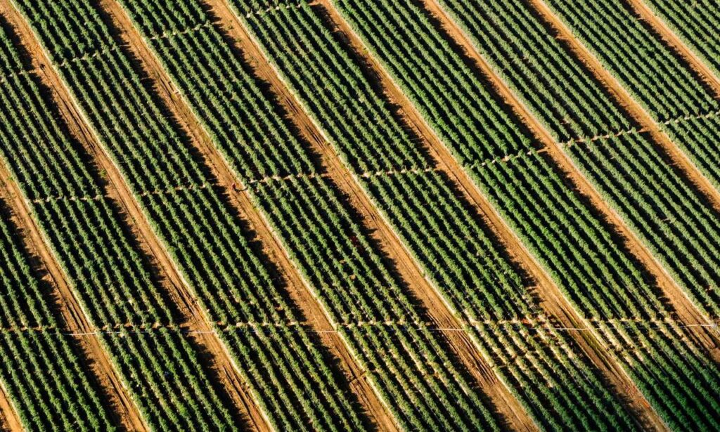 can i play online togamesticky