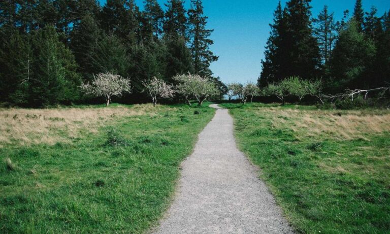 console gaming tportulator