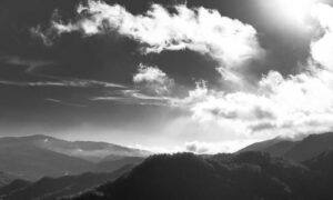 console gaming updates tportulator