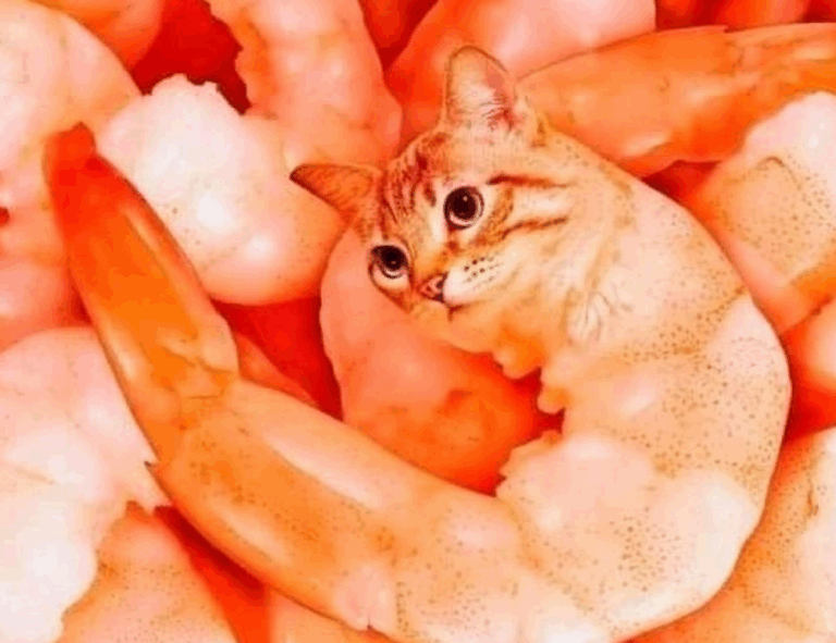 console news tportulator