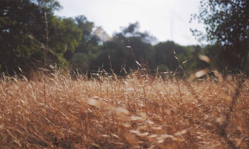 consoles video games togamesticky