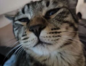 consoles video games togamesticky