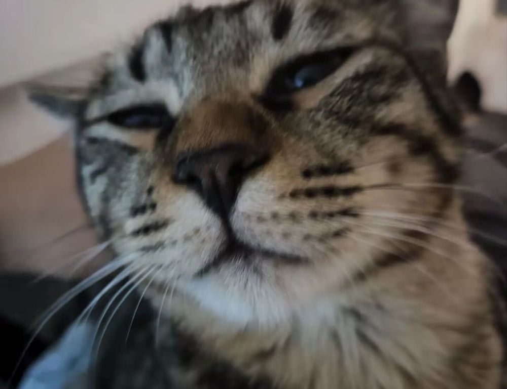 consoles video games togamesticky