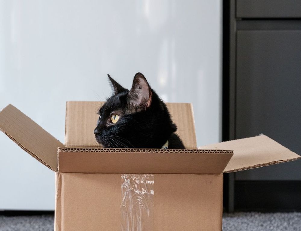 consoles video games togamesticky