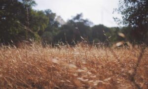 consoles video games togamesticky