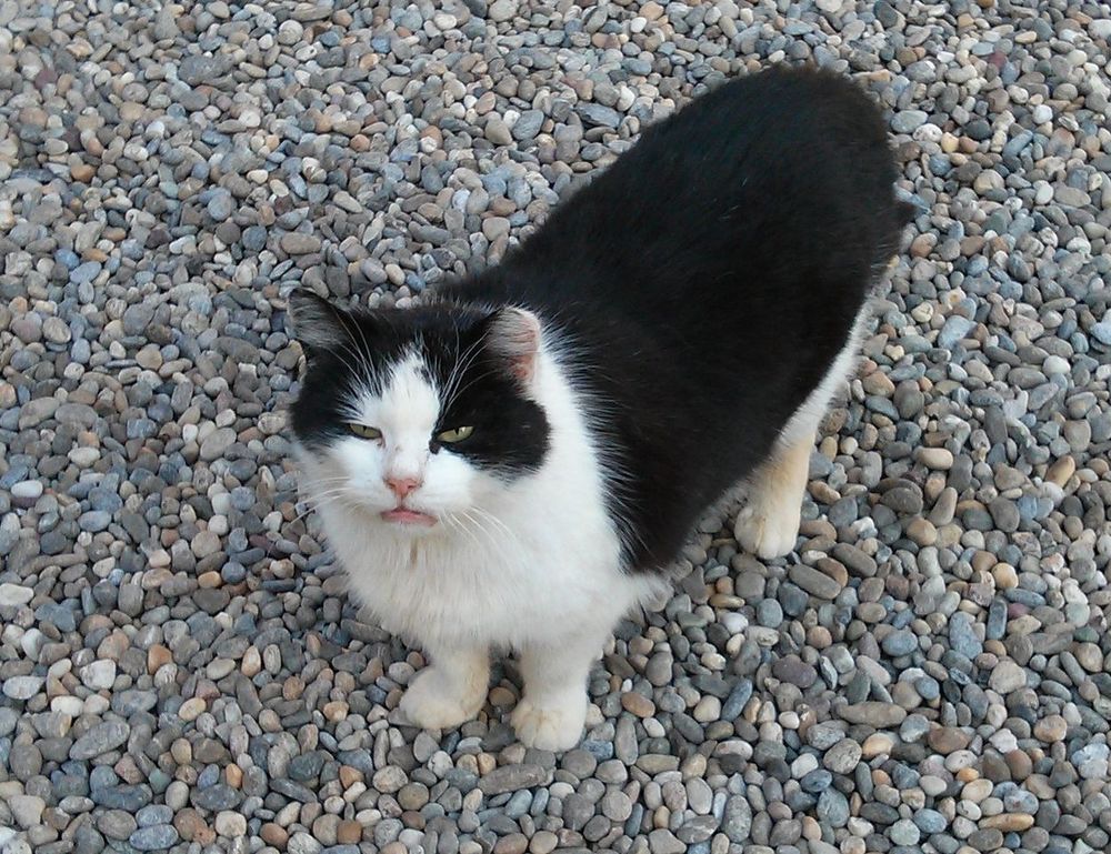 consoles video games togamesticky