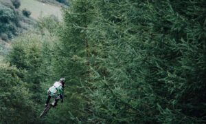 do online reviews matter bfncreviews