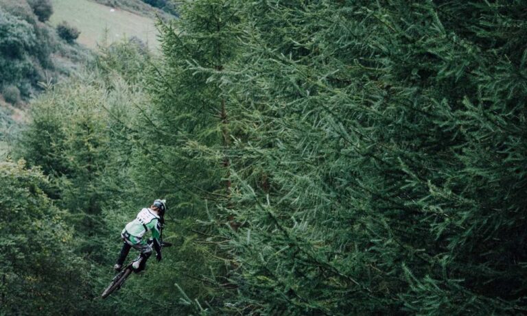 do online reviews matter bfncreviews