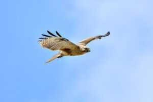 etsjavaapp new version