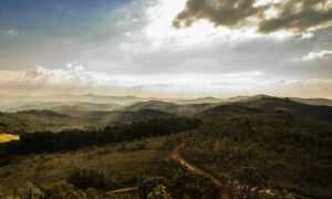 etsjavaapp new version update from etruesports