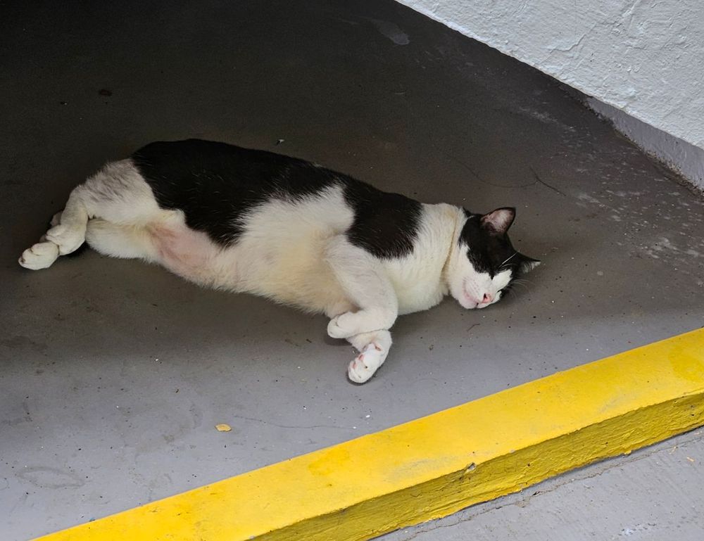 etsjavaapp release date by etruesports