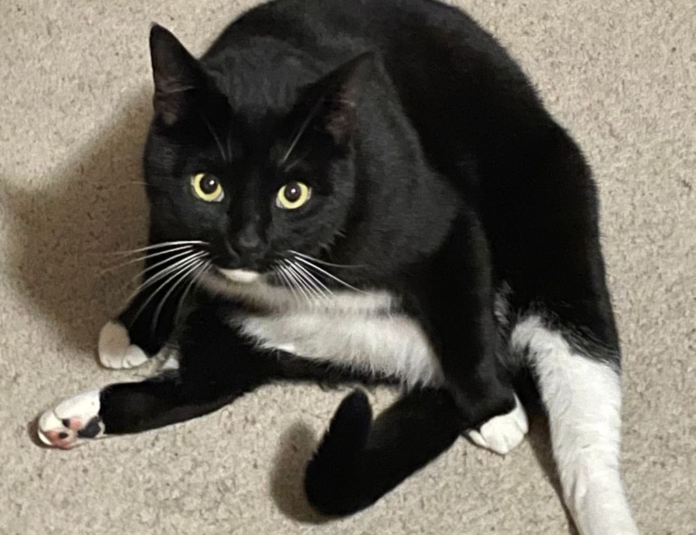 first person online hstatsarcade