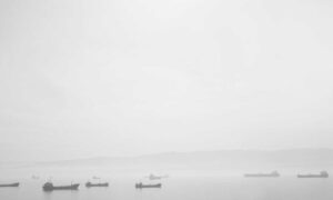 game guides bfnctutorials