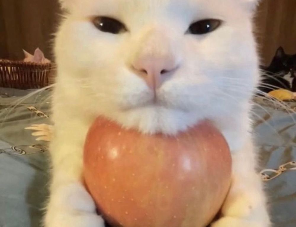 gamestick togamesticky