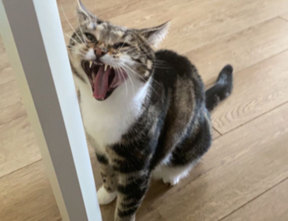 gamestick togamesticky