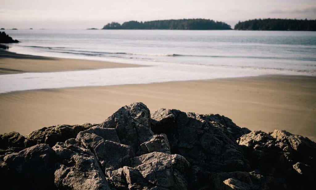 gaming console updates tportulator