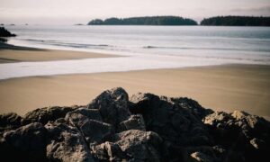 gaming console updates tportulator