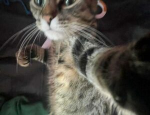 gaming guide togamesticky