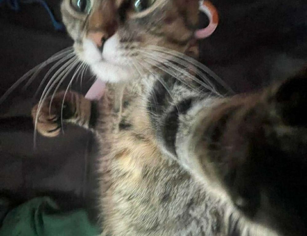 gaming guide togamesticky