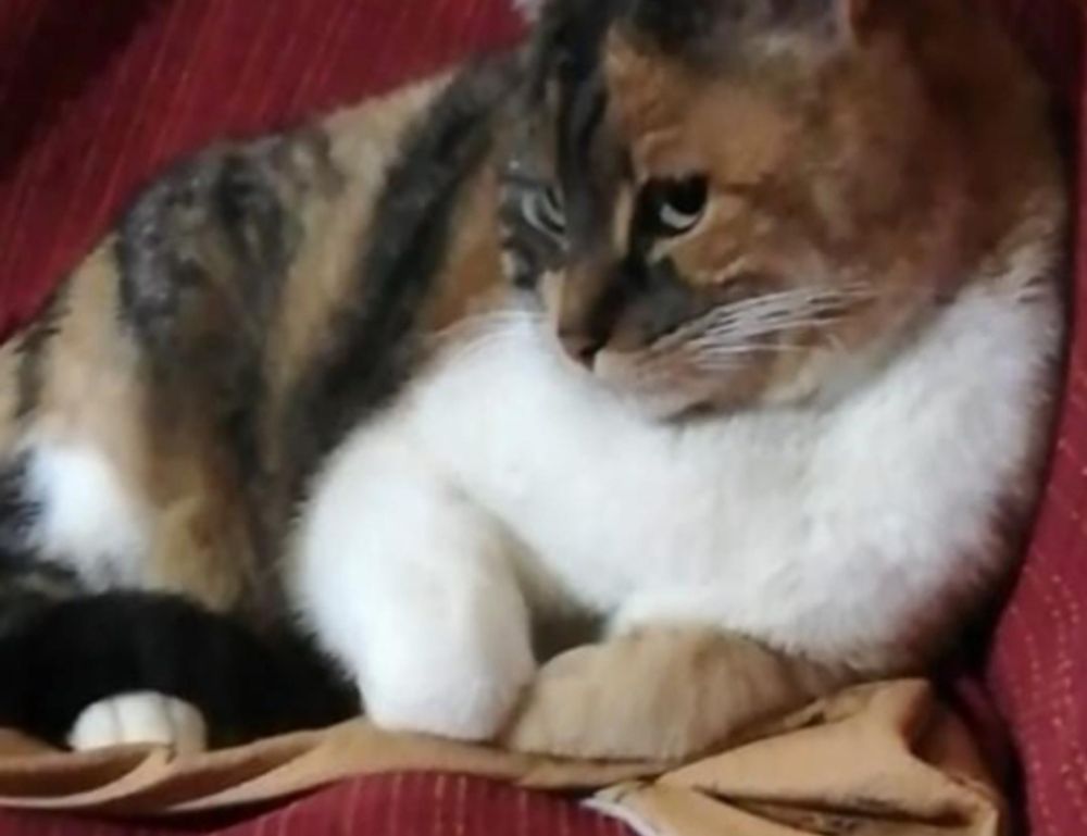 gaming hacks togamesticky