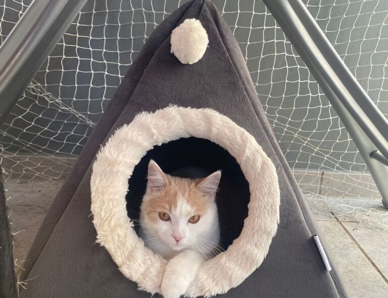 gaming news jogametech