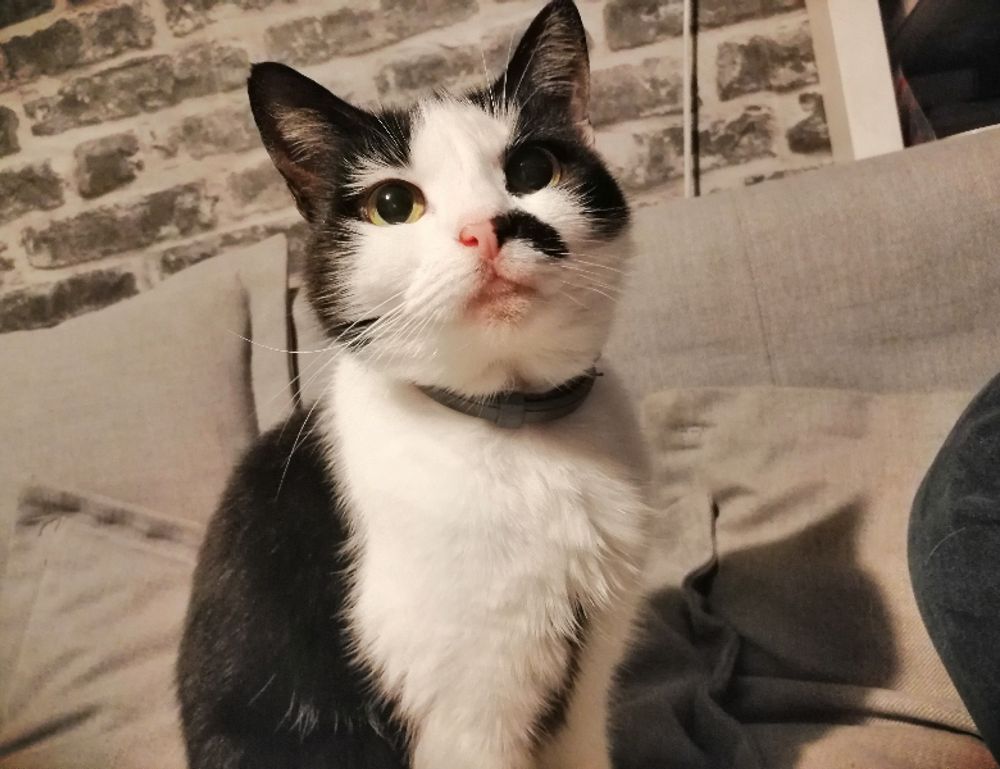 gaming news tgageeks