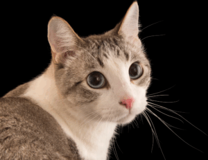 gaming pc hacks togamesticky