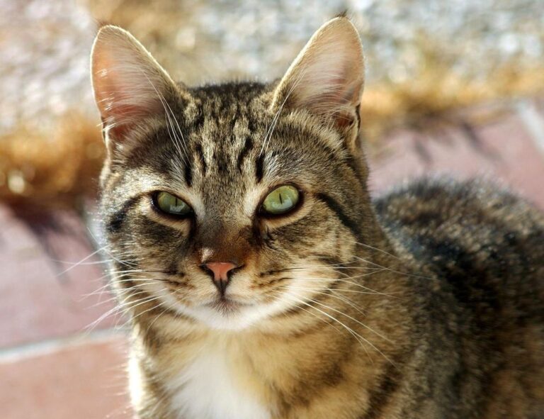 gaming pc hacks togamesticky