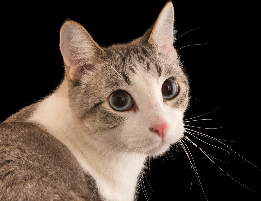 gaming pc hacks togamesticky