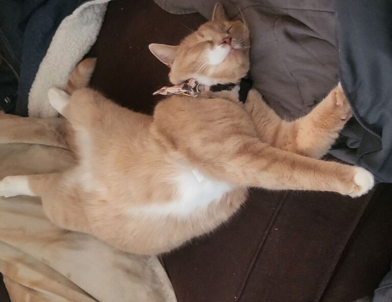 gaming tech befitgametek