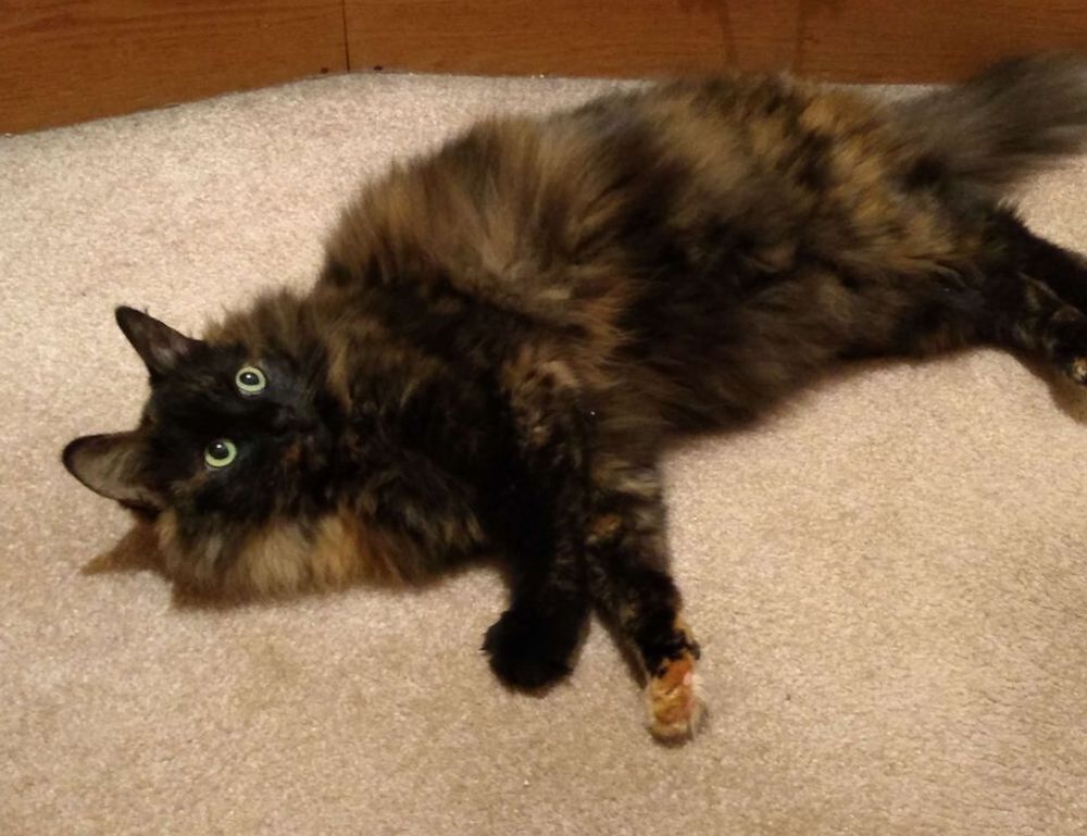 gaming tutorials thehakegeeks