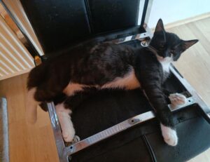 how are hacks made togamesticky