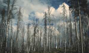 how are hacks made togamesticky