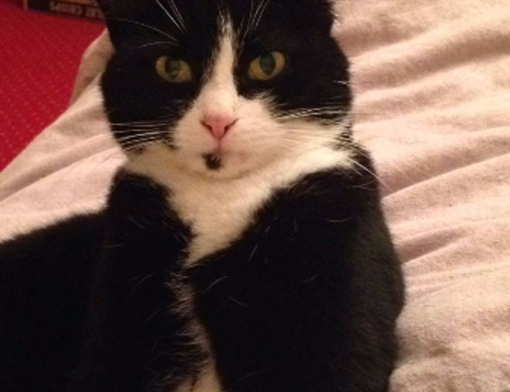 how are hacks made togamesticky