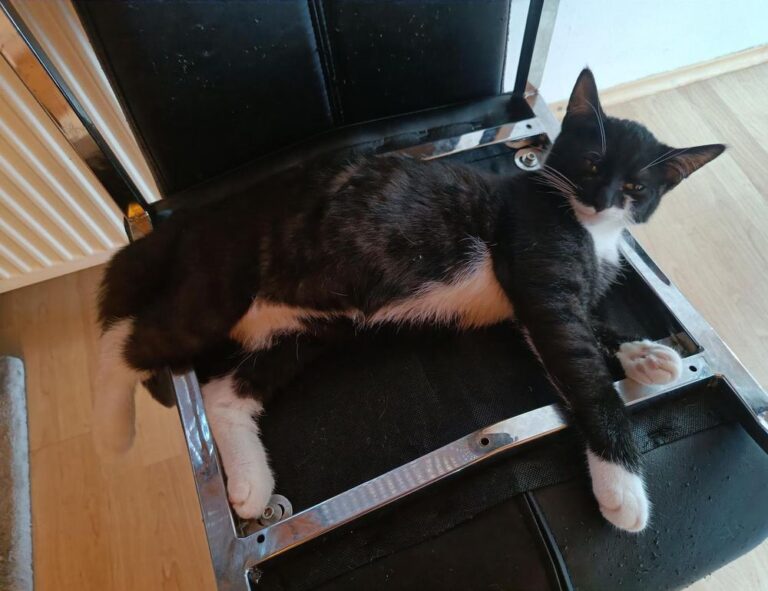 how are hacks made togamesticky