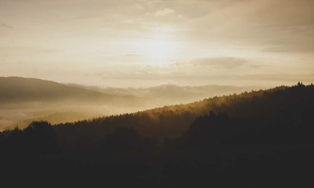 how gaming affects the brain bfnctutorials