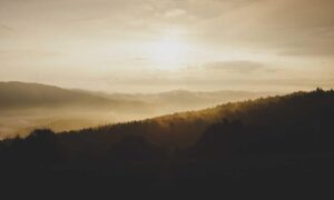 how gaming affects the brain bfnctutorials