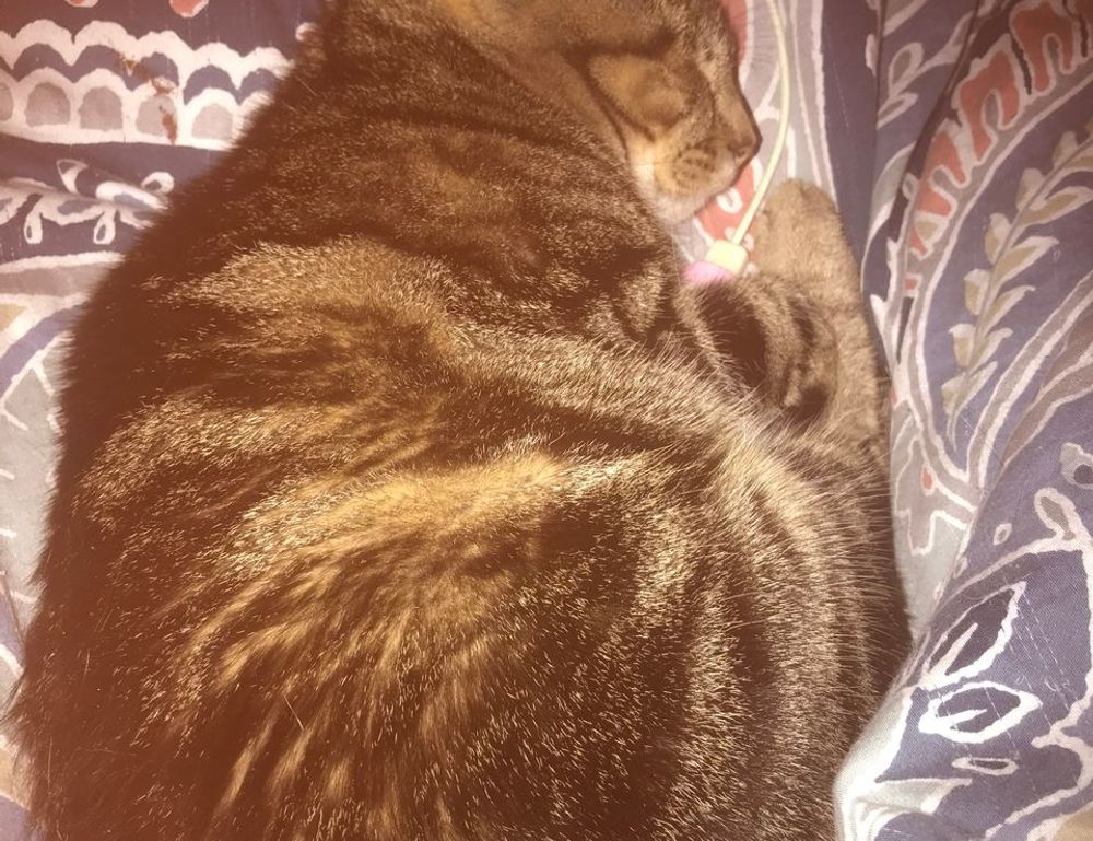 how to download games togamesticky