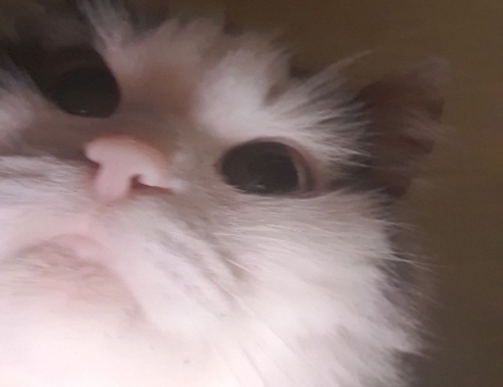 how to download games togamesticky