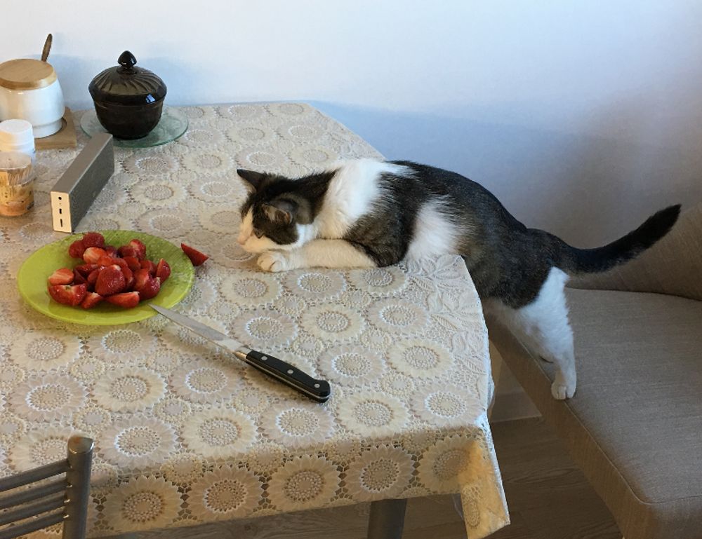 how to download games togamesticky