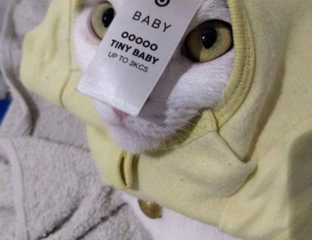 how to download games togamesticky